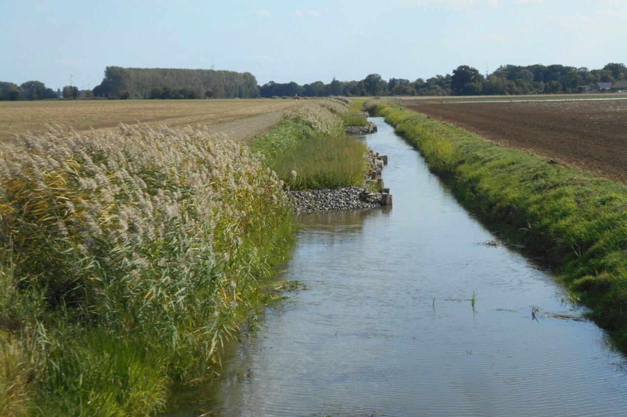 DSCN0106.JPG