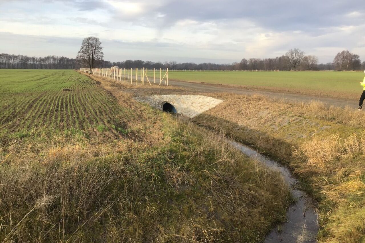 Grabensystem Krieschow Vorwerk